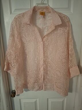 Ruby Rd. Pale Pink Sheer Button-Down Blouse